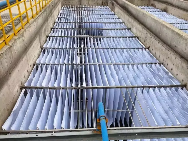 031719969073432424.png image.png