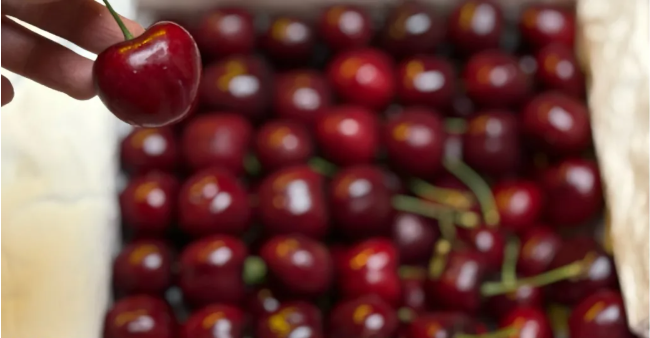 041748996823145946.png image.png