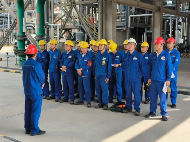 161750035633618631.png image.png