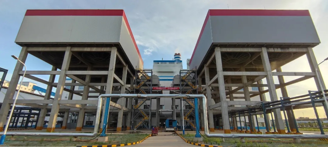 6182402c57c4e.jpg 640 (6).webp (2).jpg