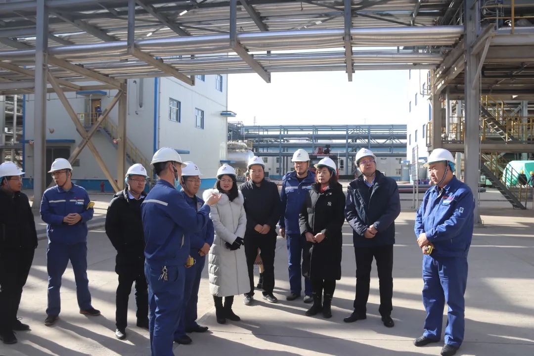 61c035720572a.jpg 640.webp (15).jpg